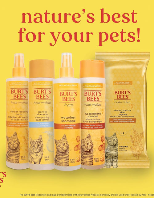 Load image into Gallery viewer, Burt'S Bees for Kittens Natural Tearless Shampoo with Buttermilk Cat Shampoo, Kitten Shampoo - Cat Grooming Supplies, Cat Bath Supplies, Shampoo for Cats, Kitty Shampoo, Pet Shampoo
