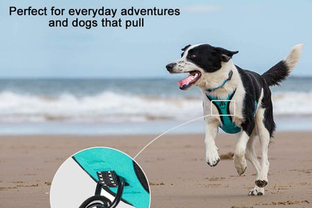 No Pull Dog Harness, Reflective Comfortable Vest Harness with Front & Back 2 Leash Attachments and Easy Control Handle Adjustable Soft Padded Pet Vest for Small Medium Large Dogs (Mint Blue,M)