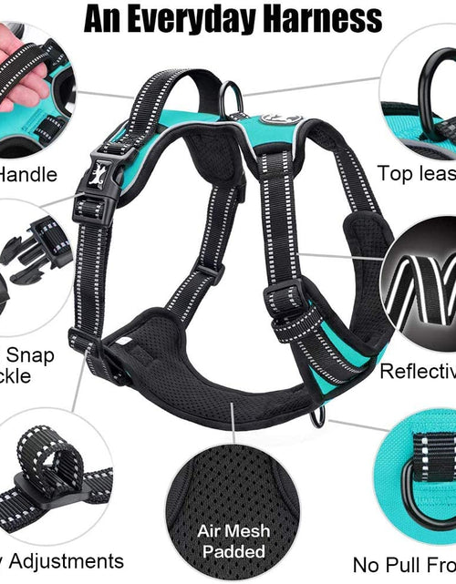 Load image into Gallery viewer, No Pull Dog Harness, Reflective Comfortable Vest Harness with Front &amp; Back 2 Leash Attachments and Easy Control Handle Adjustable Soft Padded Pet Vest for Small Medium Large Dogs (Mint Blue,M)
