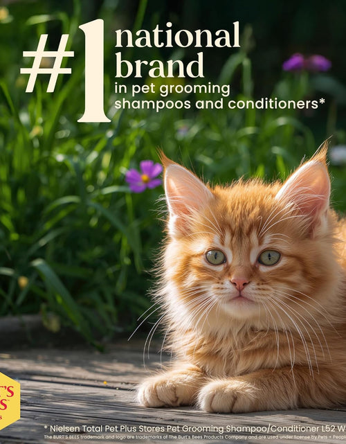 Load image into Gallery viewer, Burt'S Bees for Kittens Natural Tearless Shampoo with Buttermilk Cat Shampoo, Kitten Shampoo - Cat Grooming Supplies, Cat Bath Supplies, Shampoo for Cats, Kitty Shampoo, Pet Shampoo
