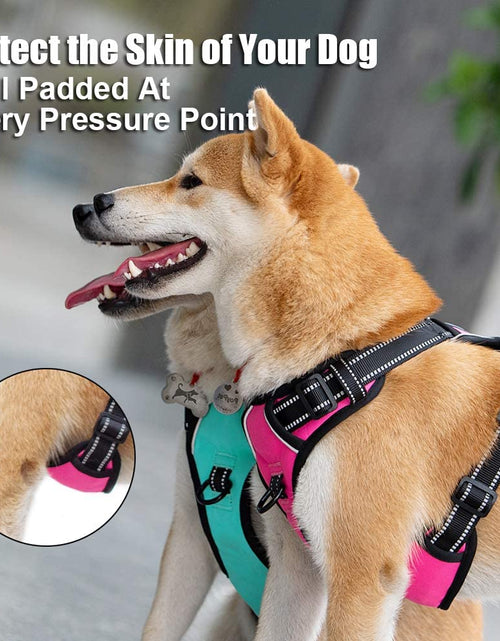 Load image into Gallery viewer, No Pull Dog Harness, Reflective Comfortable Vest Harness with Front &amp; Back 2 Leash Attachments and Easy Control Handle Adjustable Soft Padded Pet Vest for Small Medium Large Dogs (Mint Blue,M)
