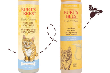 Burt'S Bees for Kittens Natural Tearless Shampoo with Buttermilk Cat Shampoo, Kitten Shampoo - Cat Grooming Supplies, Cat Bath Supplies, Shampoo for Cats, Kitty Shampoo, Pet Shampoo