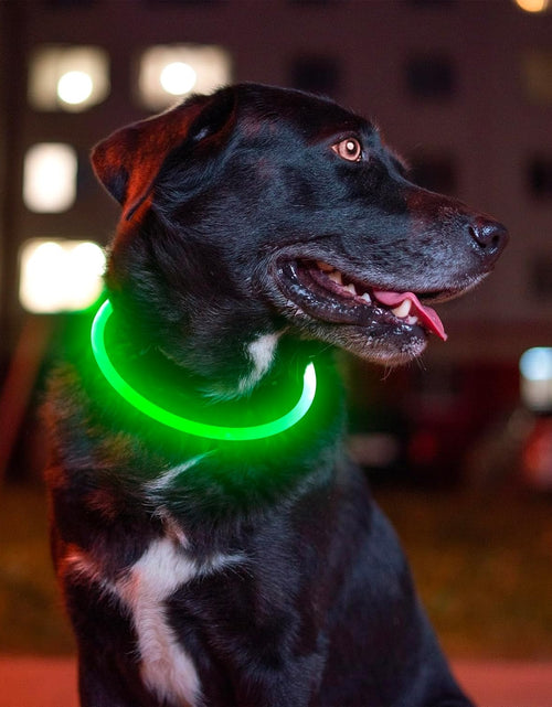 Load image into Gallery viewer, Led Dog Collar,  USB Rechargeable Flash Dog Necklace Light, Pet Safety Collar Makes Your Beloved Dogs Be Seen at Night for Small Medium Large Dogs
