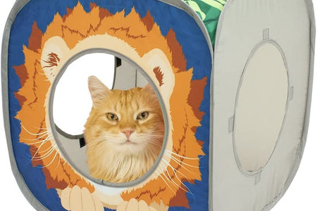 Safari Play Cubee, Cat Cube, Play Kennel, Cat Bed, Jungle Cat House, Multicolor, 15 H X15 W Inches