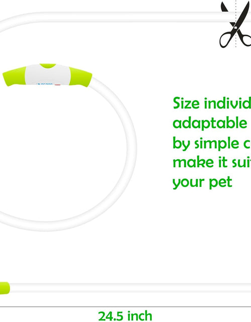 Load image into Gallery viewer, Led Dog Collar,  USB Rechargeable Flash Dog Necklace Light, Pet Safety Collar Makes Your Beloved Dogs Be Seen at Night for Small Medium Large Dogs

