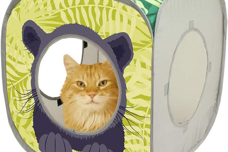 Safari Play Cubee, Cat Cube, Play Kennel, Cat Bed, Jungle Cat House, Multicolor, 15 H X15 W Inches